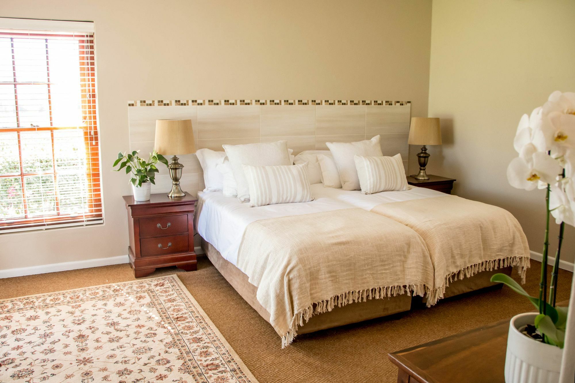 Goedemoed Farm Guest House Paarl Exteriér fotografie